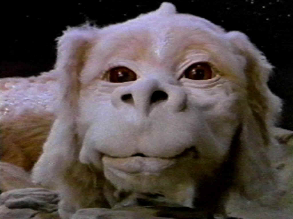 falcor2