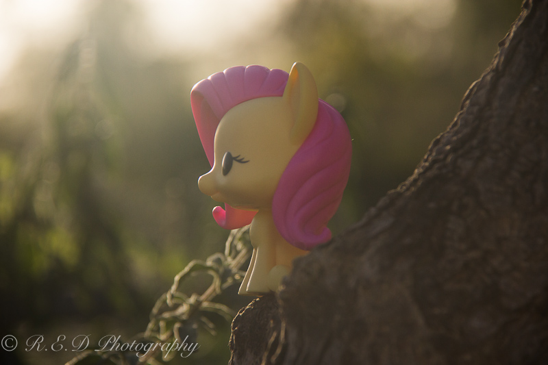 fluttershy funko pop