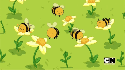 Why I'm Afraid of Bees