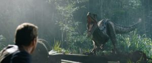 Velociraptor Blue and Owen Grady (Chris Pratt) in Jurassic World: Fallen Kingdom