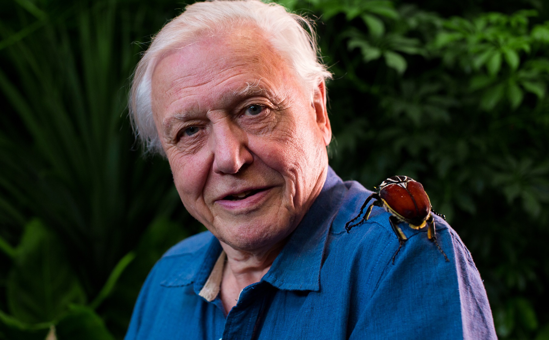 David Attenborough