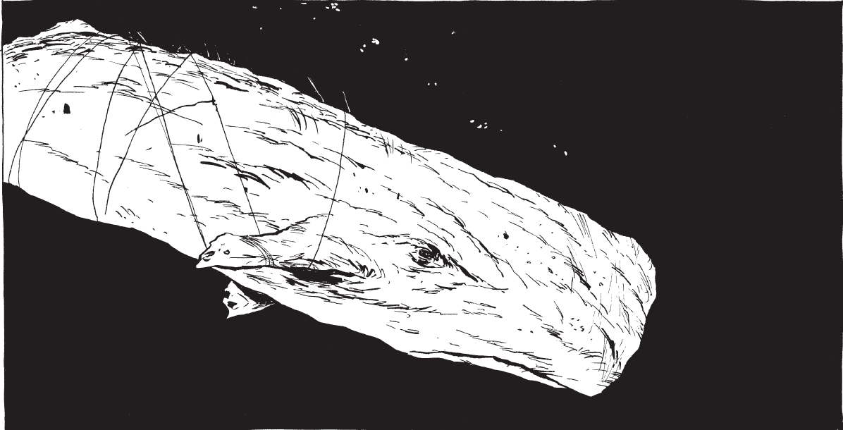 Moby Dick