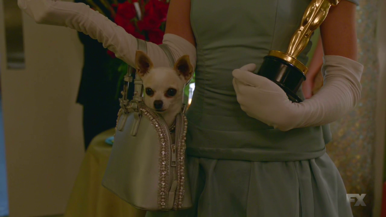 Feud Feature
